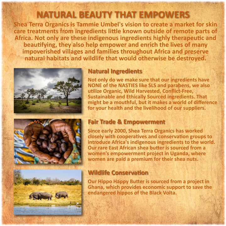 Shea Terra Egyptian Black Seed Cold-Pressed Extra Virgin Oil | All Natural & Organic Oil to Boost Immune System, Improve Hair Growth & Skin Tone, Manage Chronic Dry Skin, Eczema & More - 3.38 oz