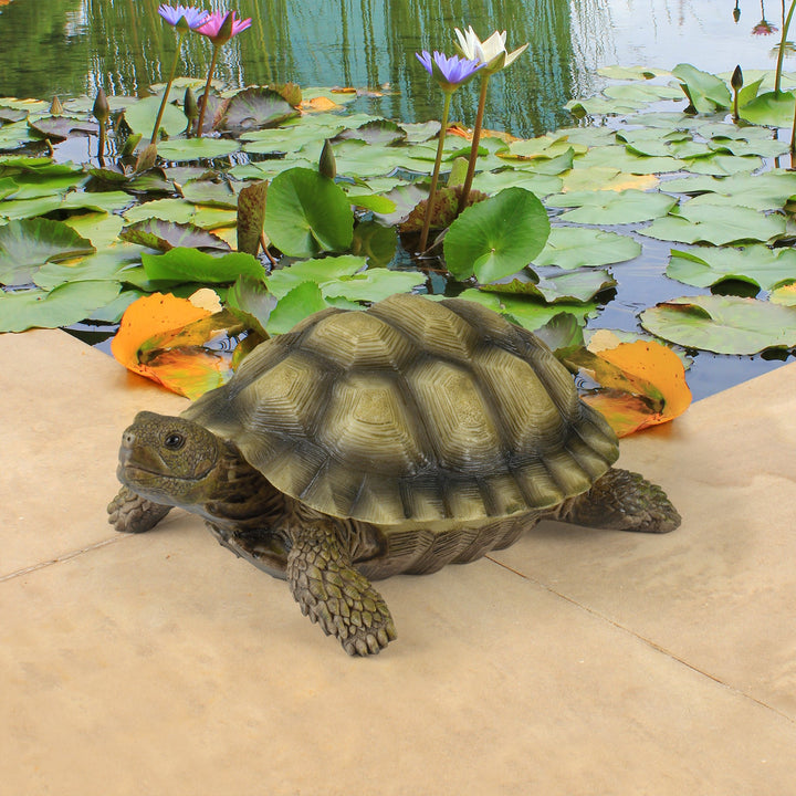 QM1887611 Gilbert the Box Turtle Indoor/Outdoor Garden Decor Animal Statue, Set of One