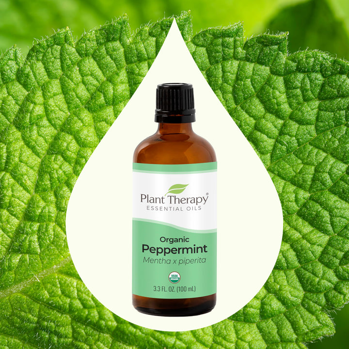Organic Peppermint Essential Oil 100% Pure, USDA Certified Organic, Undiluted, Natural Aromatherapy, for Diffusion, Skin, Hair, Therapeutic Grade 100 mL (3.3 oz)