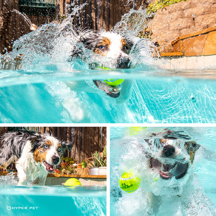 Tennis Balls for Dogs (Safe Dog Ball, Tennis Balls for Exercise & Training) Interactive Toys work with K9 Kannon K2 Dog Ball Launcher - 4 Pack 2.5 Green