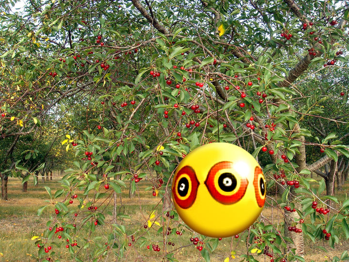 Scare-Eye Bird Repellent Predator Eyes Balloon, Yellow