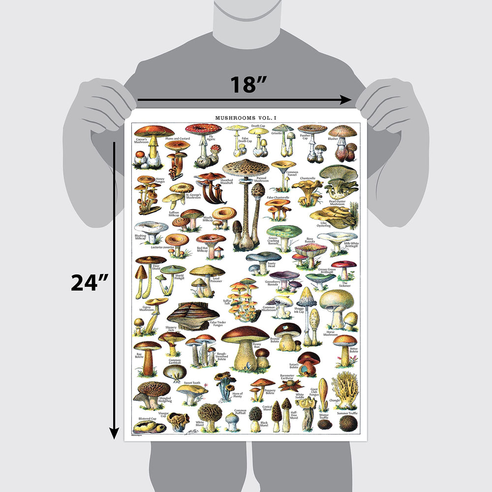 Vintage Mushroom Poster Prints - Mycology & Fungi Botanical Identification Reference Chart Volume 1 & 2 (LAMINATED, 18 x 24)