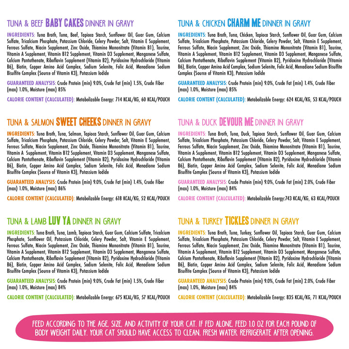 B.F.F. OMG - Best Feline Friend Oh My Gravy!, Rainbow A Gogo Variety Pack! Cat Food, 3oz Pouch (Pack of 12)