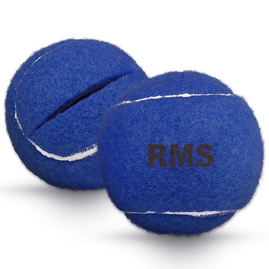Walker Glide Balls 6 Color Choices (Blue)
