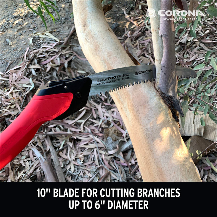 Tools 10-Inch RazorTOOTH Folding Pruning Designed for Single Use | Curved Blade Hand Saw | Cuts Branches Up to 6 in Diameter | RS16150, Red