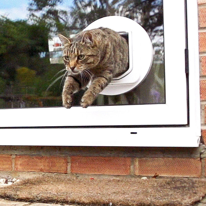 DualScan Microchip Cat Door - Door Opening is 4 3/4 H x 5 5/8 W