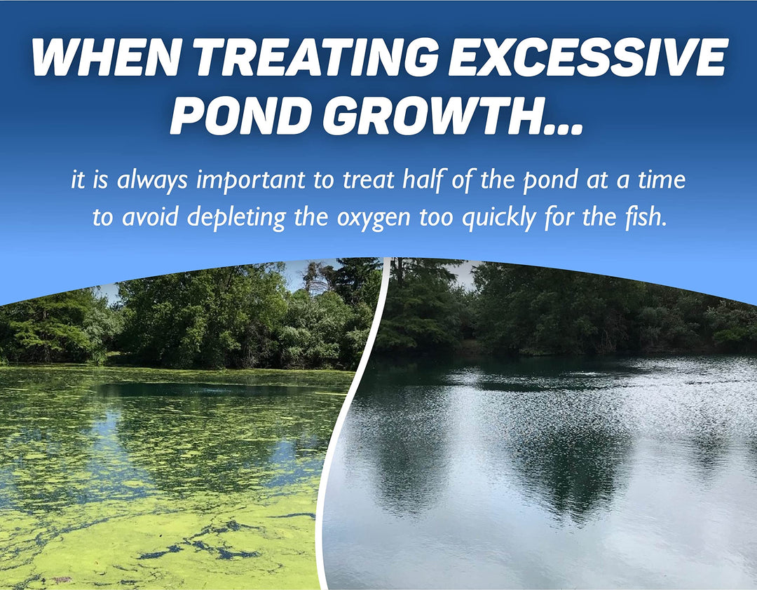 Copper Sulfate Algaecide - Granular Aquatic Grade Copper Sulfate for Pond Algae Control - 5 Pounds