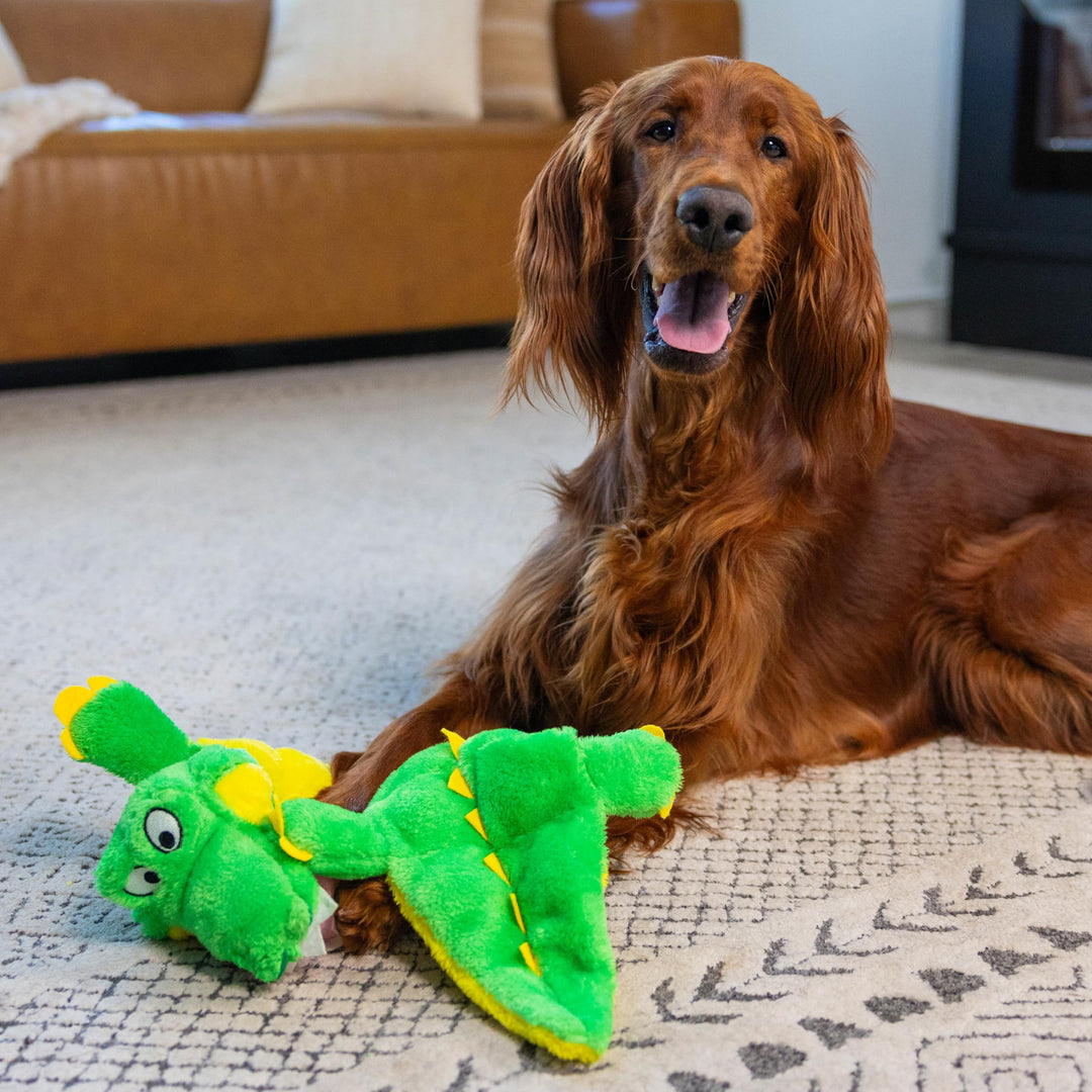 Squeaker Matz Plush Gator Dog Toy, XL