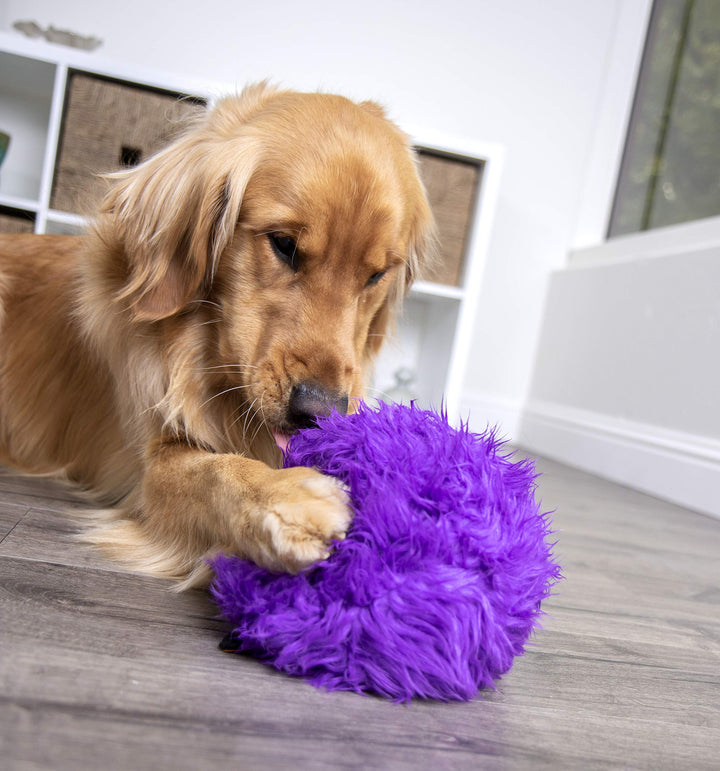 Furballz Squeaky Plush Ball Dog Toy, Chew Guard Technology - Purple, Large