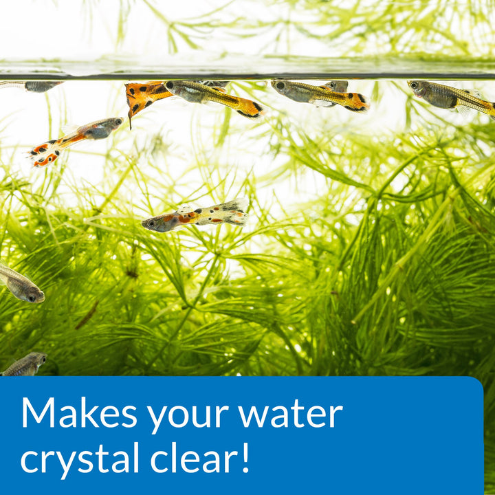 ACCU-CLEAR Freshwater Aquarium Water Clarifier 4-Ounce Bottle