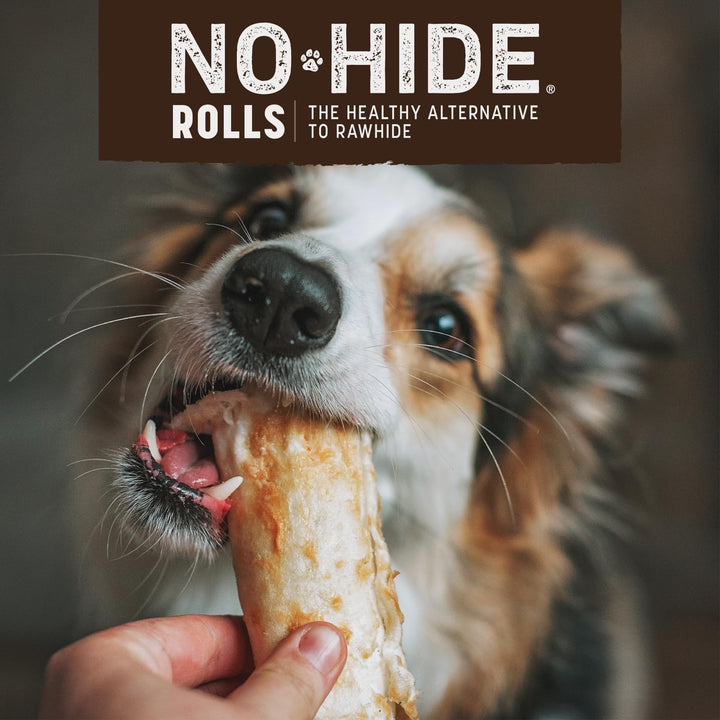 No Hide Small Long Lasting Dog Chew Rolls, Peanut Butter, 2 Count Pack of 1