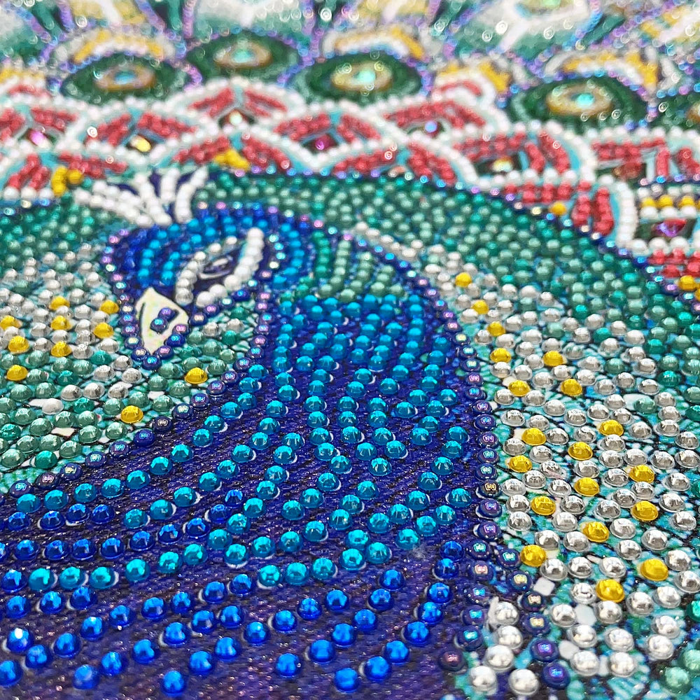 Special Shape Diamond Art Painting Kits for Adults, Round Full Drill Diamond Art Painting Kits DIY Diamond Art Painting by Number Kits Diamond Art Kits for Home Decor Green Peacock 12x16 Inch