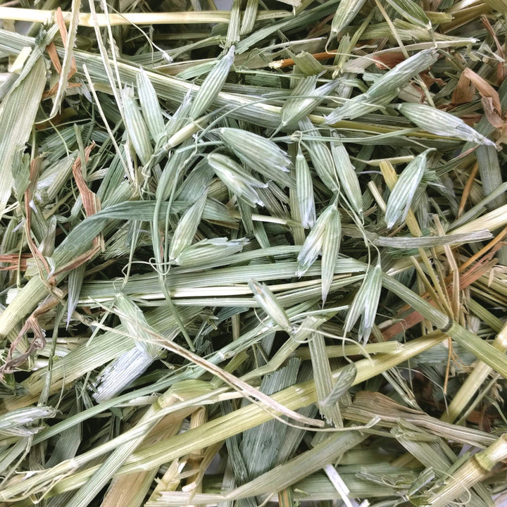 Animal Health Oat Hay - All Natural Hay for Rabbits, Guinea Pigs, Chinchillas, Hamsters & Gerbils - 15 oz.