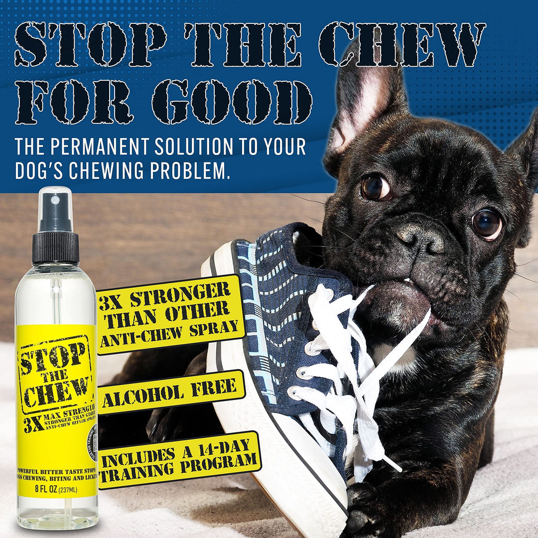 EBPP Stop The Chew 3X Strength Anti Chew Spray for Dogs - No Chew Spray for Puppies - Alcohol Free Dog Deterrent Spray - Bitter Spray for Dogs to Stop Chewing - Powerful No Chew Spray for Dogs - 8oz