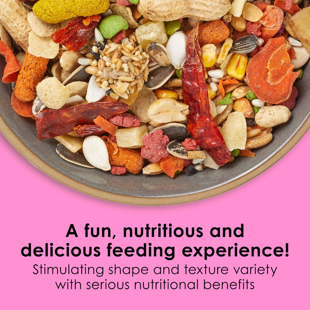 Fiesta Big Bites Small Parrot & Conure Food, Nutritious and Fun Blend, Supports Skin, Feather, Digestion, Brain and Heart Health, 4 pounds