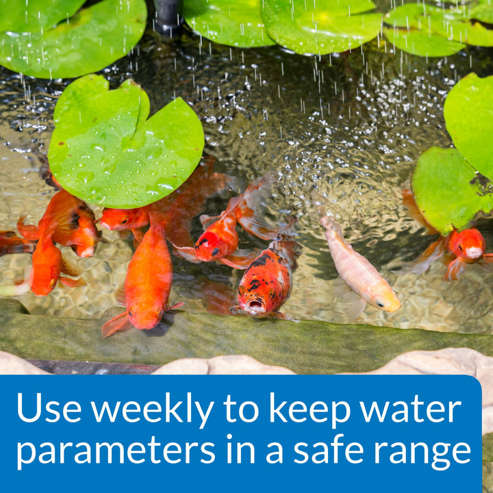 POND WIDE RANGE pH TEST KIT 160-Test Pond Water Test Kit