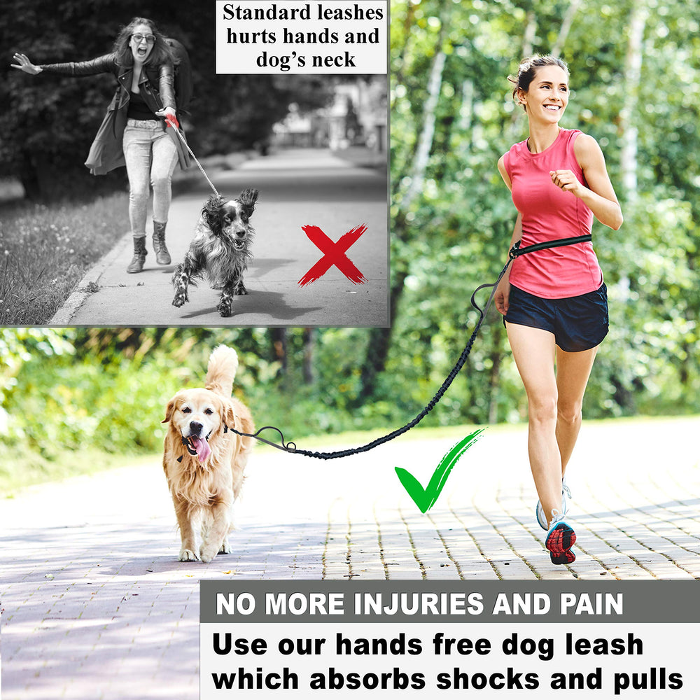 Hands Free Dog Leash for Medium and Large Dogs - Durable Dual Handle Waist Leash with Reflective Bungee for Running, Walking, Training, Hiking (Grey, for 1 Dog)