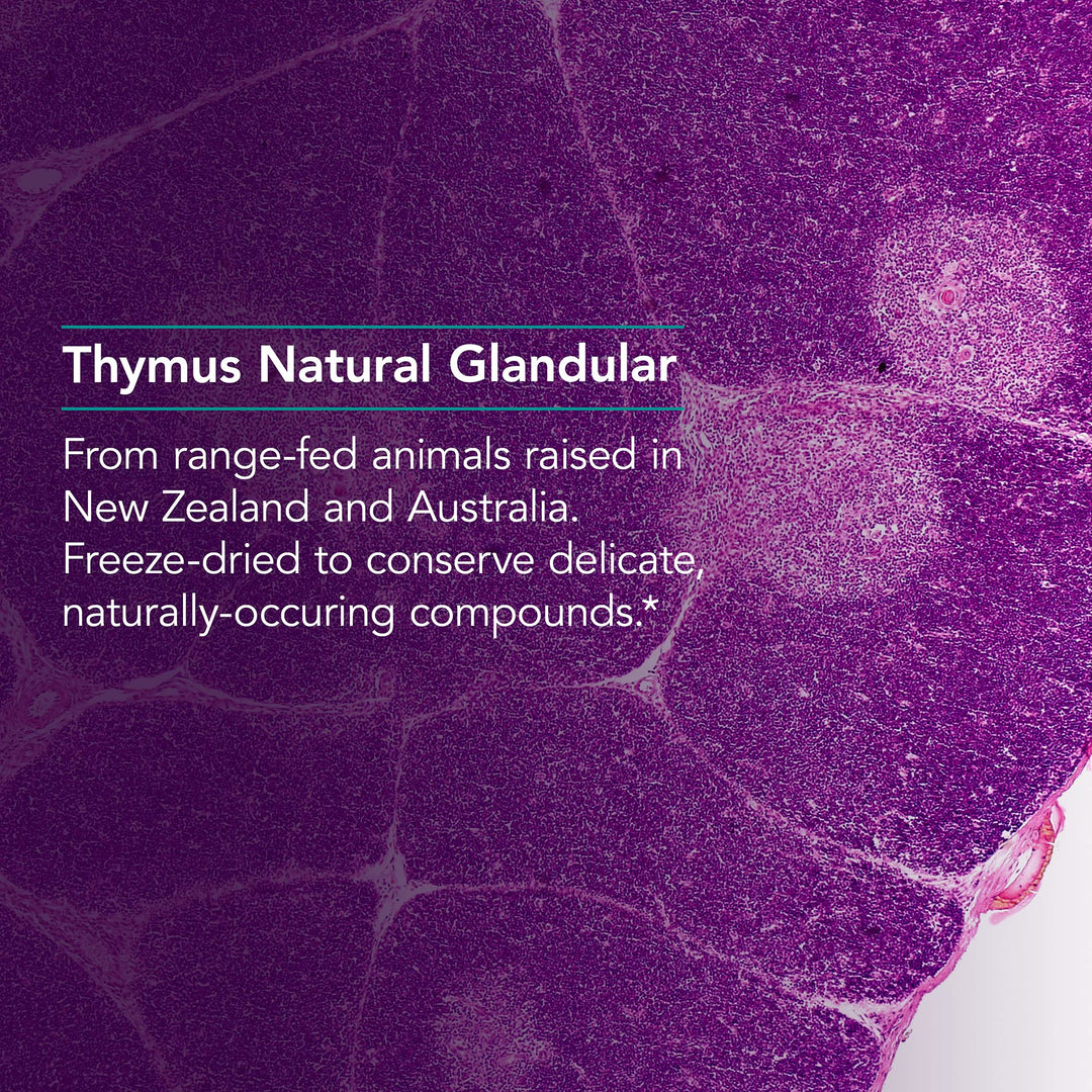 Thymus Supplement - Thymus Tissue, Glandular Extract, 1000mg Raw Thymus Glandular, Ovine, Lyophilized, Hypoallergenic - 75 Count