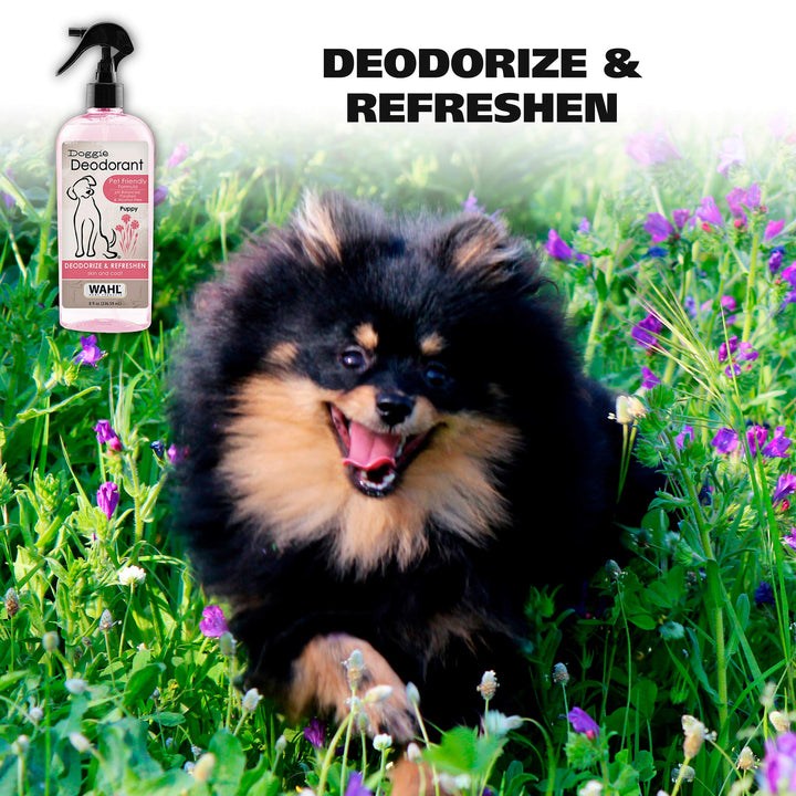 USA Cornflower Aloe Pet Deodorant Spray for All Dogs & Cats – Clean Fresh Smell Refreshes & Deodorizes – 8 oz - Model 820009A