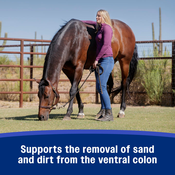 SandClear Crumbles, Psyllium Digestive Health Supplement for Horses supports the removal of sand and dirt from the ventral colon, 3 lb., 9 day supply