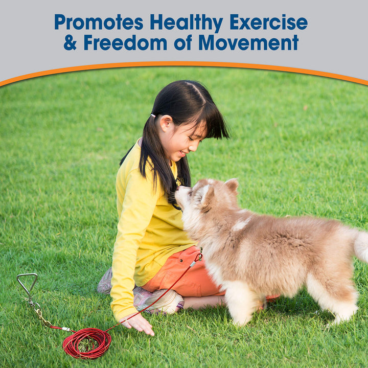 Puppy Dog Tie Out Cable Red Puppy (15 Feet)