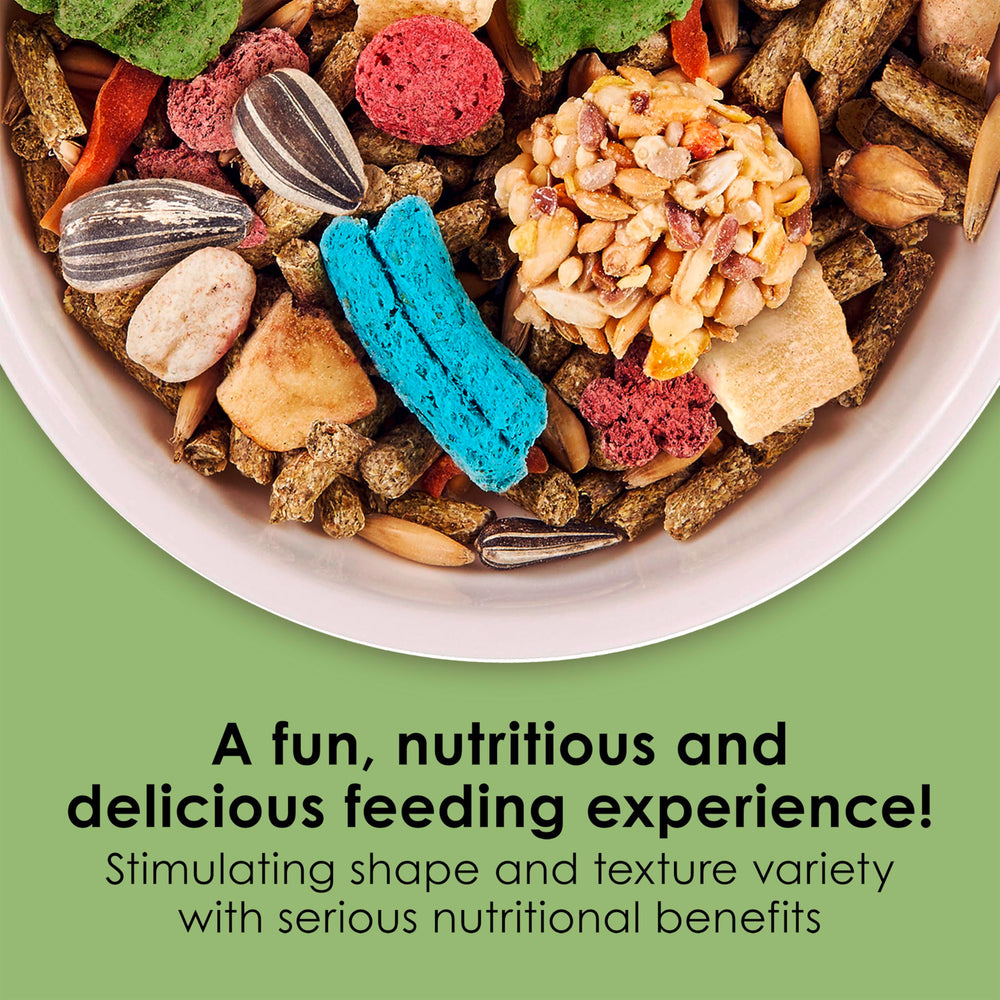 Fiesta Chinchilla Food, Nutritious and Fun Blend, Supports Dental Health and Digestion, 2.5 pounds