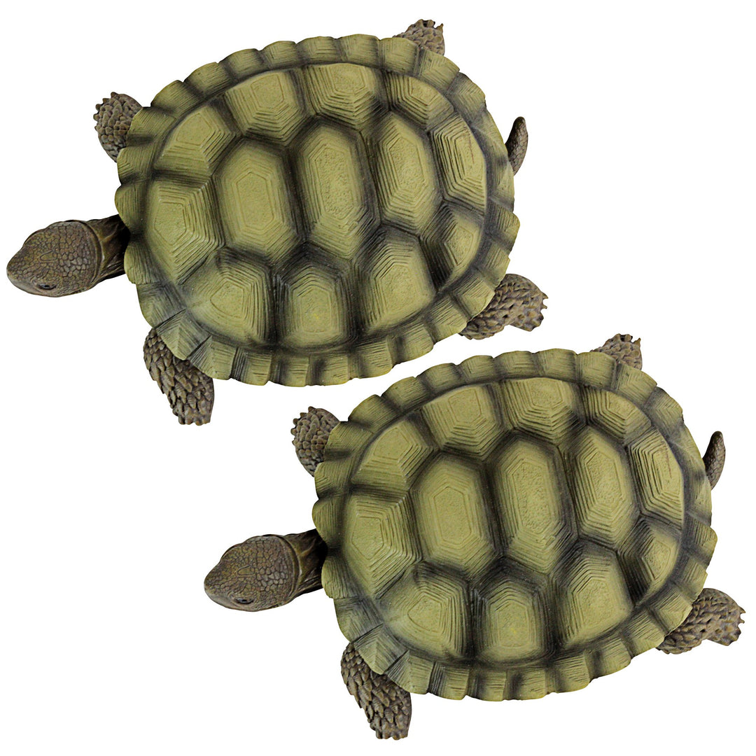 Gilbert The Box Turtle Garden Decor Animal Statue, 9 Inch, Set of Two, Polyresin, Full Color