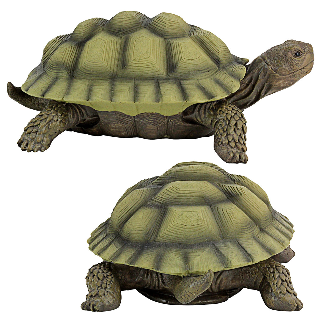 Gilbert The Box Turtle Garden Decor Animal Statue, 9 Inch, Set of Two, Polyresin, Full Color