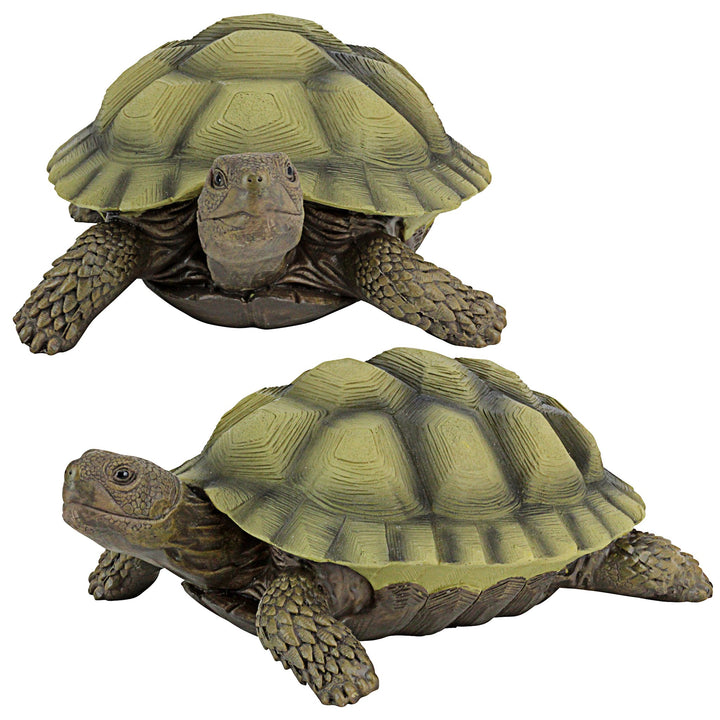 Gilbert The Box Turtle Garden Decor Animal Statue, 9 Inch, Set of Two, Polyresin, Full Color