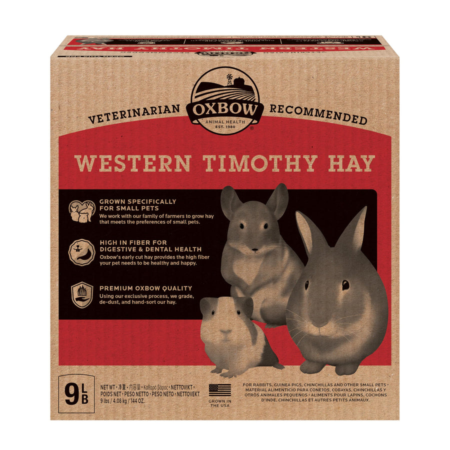 Animal Health Western Timothy Hay, Guinea Pig Hay, Small Pet Bunny Supplies, All Natural Grass for Guinea Pig, Bunny, Chinchilla & Hamster, Rabbit Supplies for Bunnies, 9 lb box