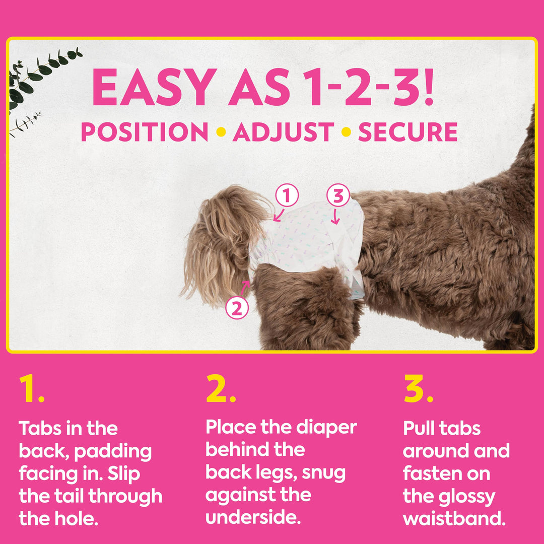 Petcare Disposable Dog Diapers for Female Dogs, Dog Heat Diapers, Female Dog Period Pads, Female Doggy Diaper for Peeing, Pet Diapers for Small Pets,13”-18” Waist, XS/Small, 16 Count