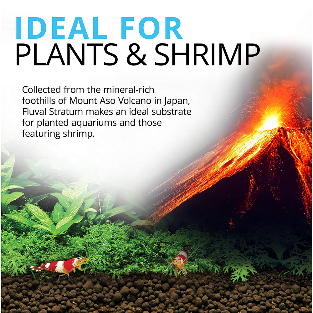 12693 Plant and Shrimp Stratum for Freshwater Fish Tanks, 4.4 lbs. – Aquarium Substrate for Strong Plant Growth, Supports Neutral to Slightly Acidic pH