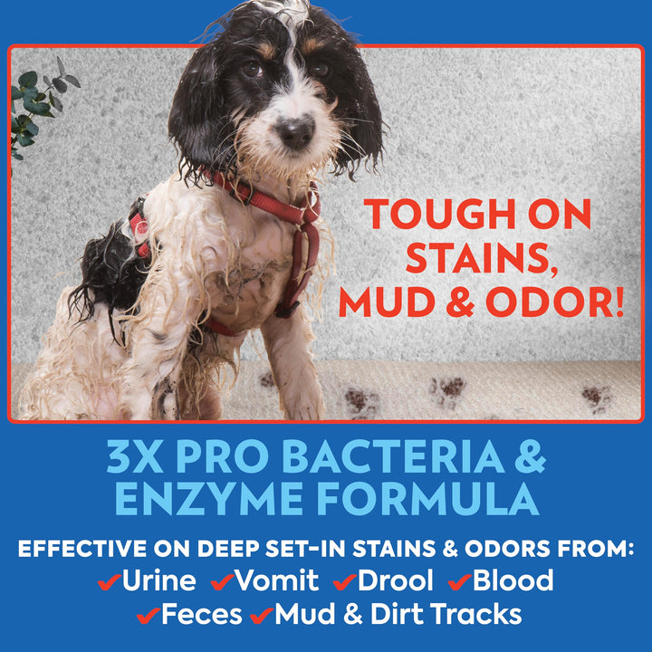 PetCare Advanced Pet Stain and Odor Remover, Stain and Odor Eliminator, Pet Carpet Cleaner, Enzyme Cleaner Spray, Pro Bacteria Urine Remove, Deodorizer, Safe & Effective, 32 fl oz (2 Pack)