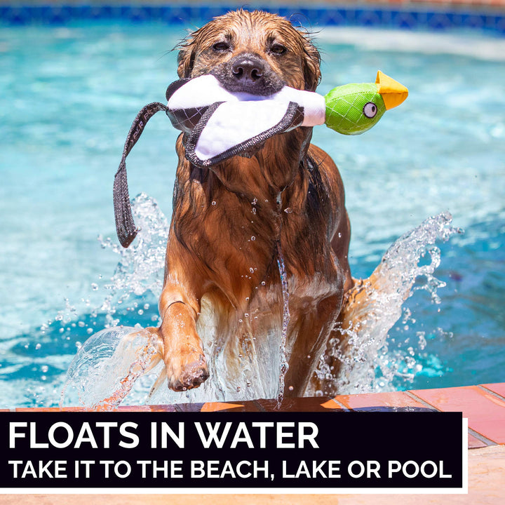 Flying Series Interactive Dog Toys - Large Duck Slingshot Fetching Dog Toy - Floats on Water