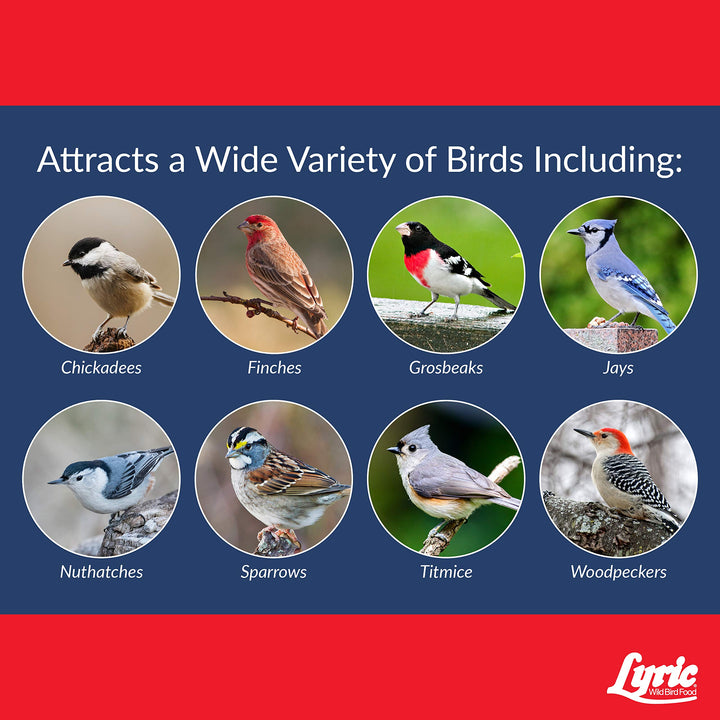 Supreme Wild Bird Seed - Wild Bird Food Mix with Nuts & Sunflower Seeds - Attracts Many Beautiful Songbirds - 20 lb. Bag