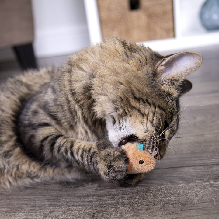 Chickadee Chirp Electronic Sound Cat Toy, Contains Catnip, Battery Powered - Light Brown, One Size