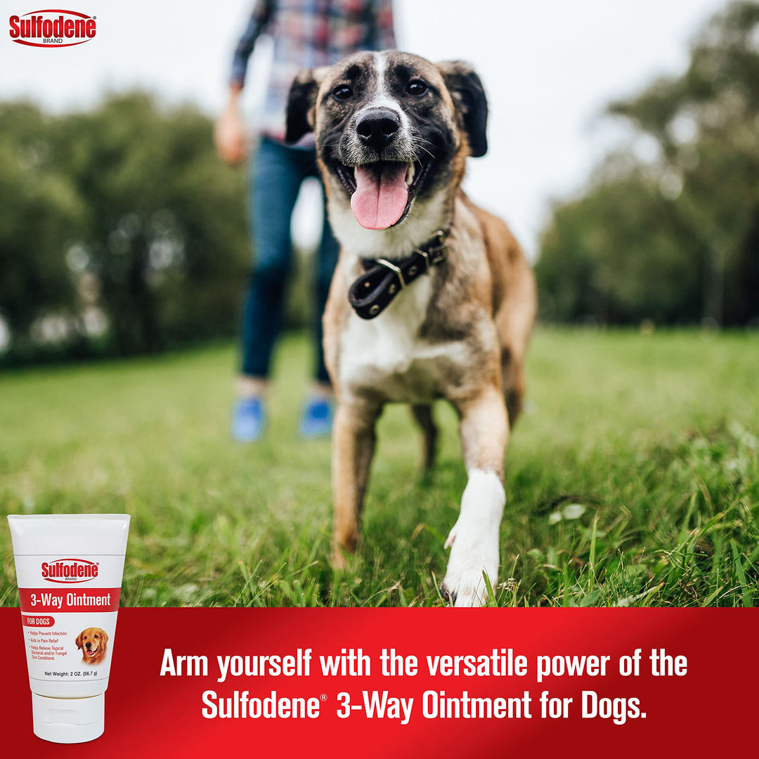 Dog Wound Care 3-Way Ointment, Relieves Pain & Prevents Infection For Dog Cuts, Scrapes, Bites and Injuries, 2 Ounce