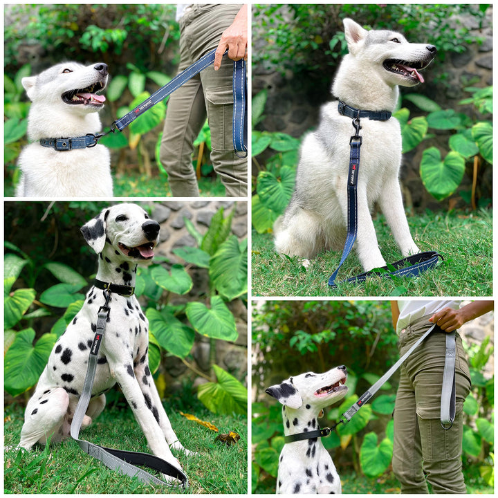 Short Dog Leash for Dog Training | 24 Inch | Perfect for Service Dog Harness & Short Training Leash | Traffic Leash Handle w/Padding | Short Leash Dog Coupler Steel Gray