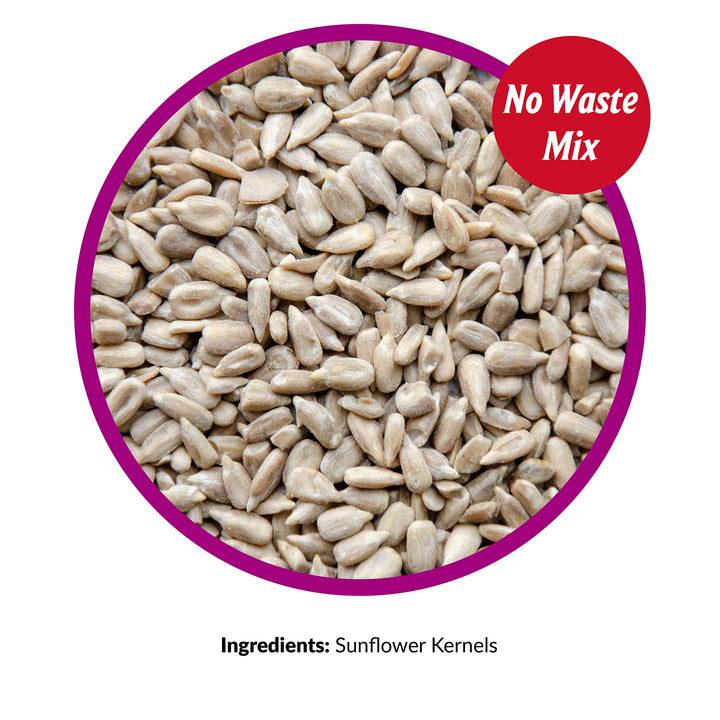 Sunflower Kernels Wild Bird Seed No Waste Bird Food Attracts Finches & More 25 lb. bag