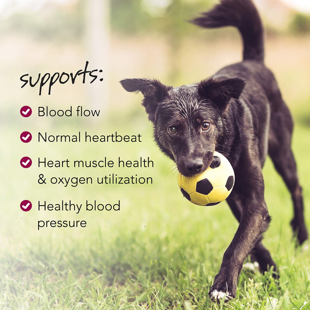VetriScience Extra Strength Healthy Heart Chews, Vetri Cardio Taurine and CoQ10 Supplement for Dogs, Heart Support Supplement, Chicken, 60 Count