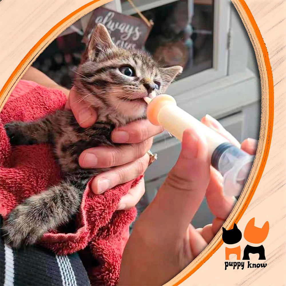Pet Feeding Nipple for Kitten and Puppy Silicone Feeding Pacifier for Pets and Wildlife - Includes Mini, Original, Medium, Large, Double 1-10ml Oring Syringe
