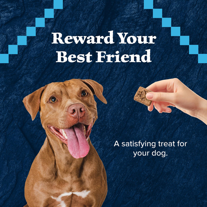 Wilderness Trail Treats High Protein Grain Free Dog Biscuits Crunchy Dog Treats, Duck Recipe, 10-oz Bag