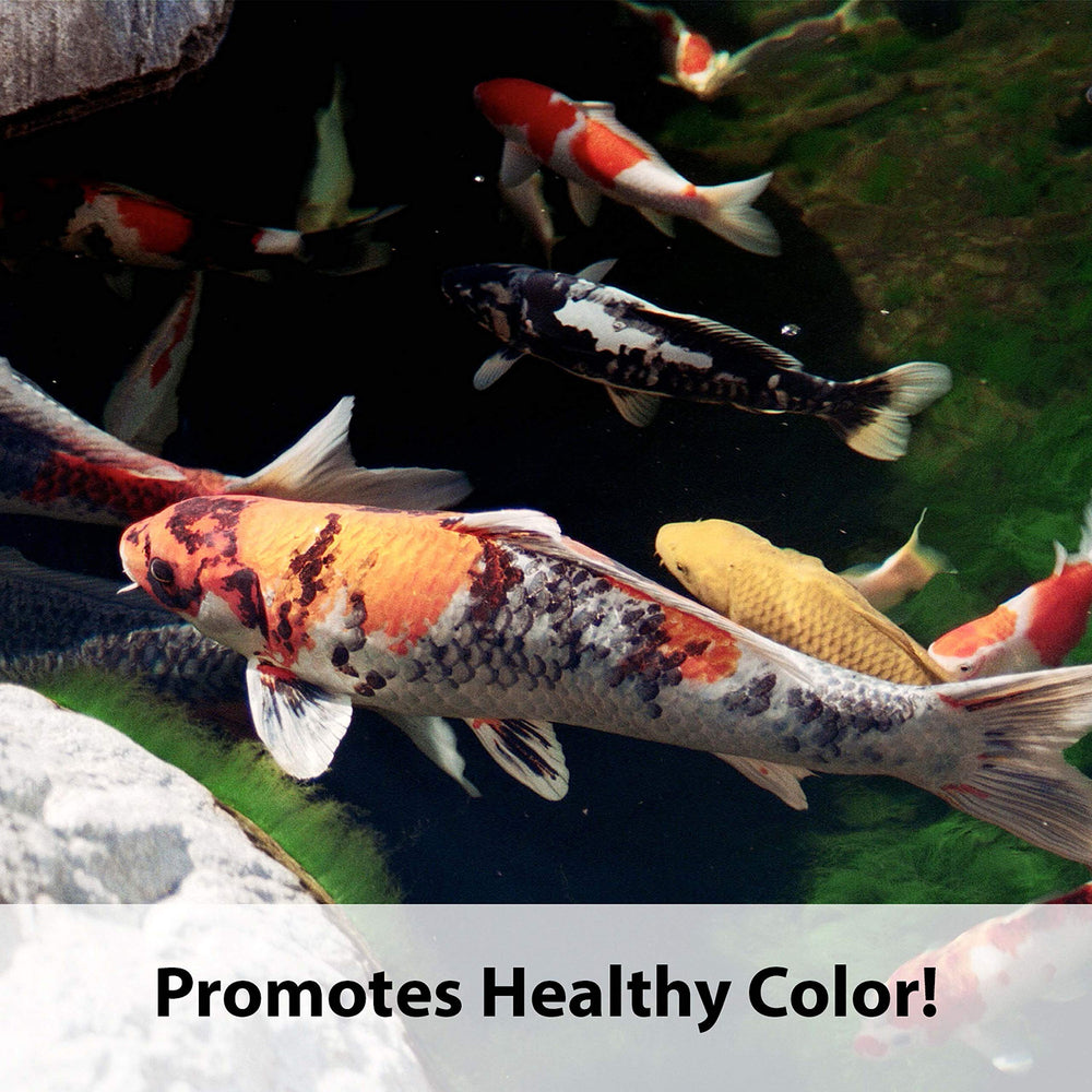 Koi's Choice Koi Floating Fish Food, 10 Pound