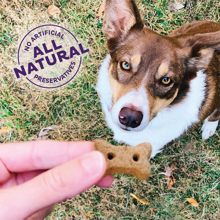 Wellness Original Mix Dog Biscuits, Natural, Training Treats, Four Flavors, Mini Size, (20 Ounce Bag)