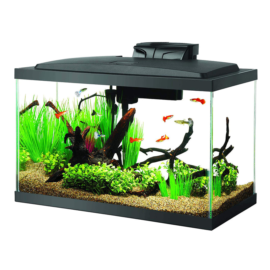 Aquarium Fish Tank Starter Kit with LED Lighting 10 Gallon Fish Tank