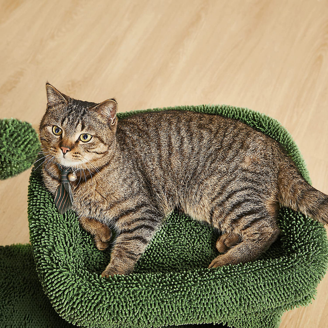 Catinsider 2 in 1 Cat Scratching Post Kitty Condo with Dangling Ball for Small Cats Green