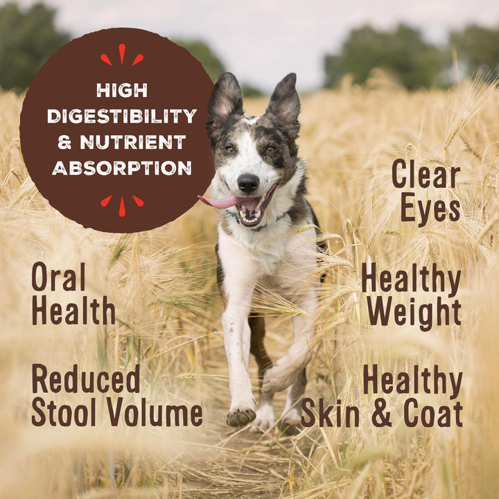 Primal Freeze Dried Raw Dog Food Nuggets, Duck, Complete & Balanced Meal, Also Use as Topper or Treat, Premium, Healthy, Grain Free, High Protein Raw Dog Food, 14 oz