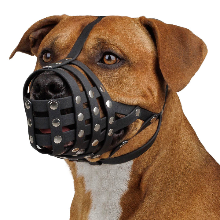 Pitbull Dog Muzzle Breathable PVC Basket for Medium Large Sized Dogs Amstaff Staffordshire Terrier, Rottweiler Prevent Biting Scavenging Chewing, Walking Training, Lightweight (Black)