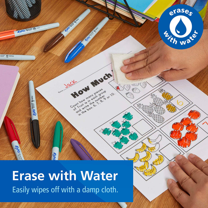 Visa Vis Wet Erase Markers, Fine Point, Black, 12-Pack, Ideal for Classroom and Homeschool Use