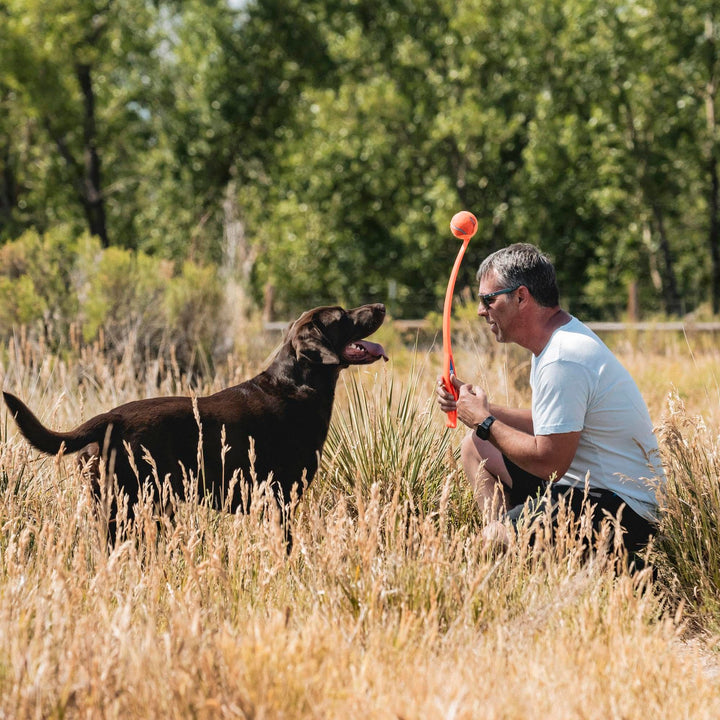 Sport 26L Dog Ball Launcher - Includes a 3-inch Diameter Large Ball for Dogs 60-100 Pounds - Manual Thrower for Dog Balls With a Slim Ergonomic Handle - 26-inch Length